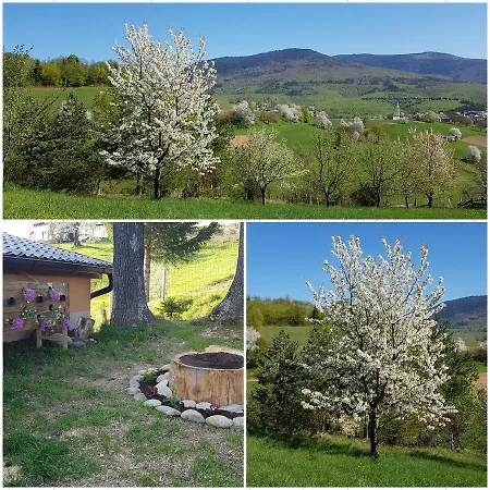Nyaraló Cakic